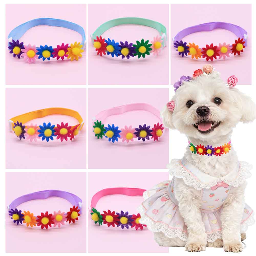 Pet Supplies Hours - 50 Lazos Coloridos para Perros, Accesorios