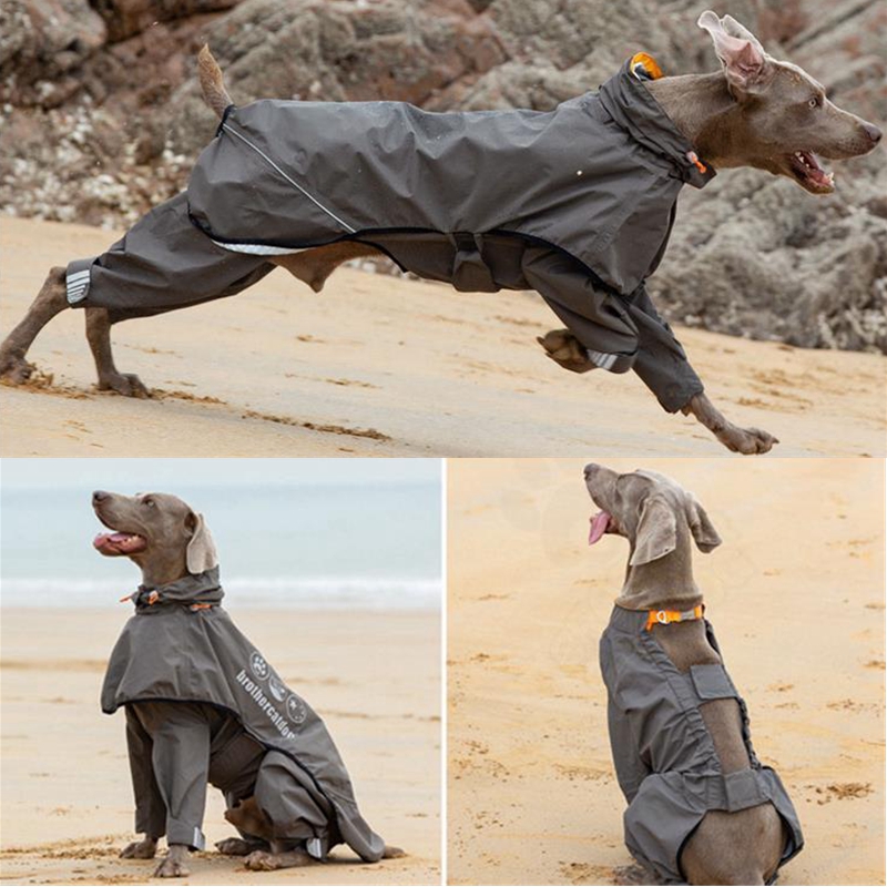 Dog Raincoat - Chubasquero impermeable para perros, mono para
