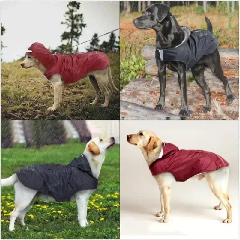 Chaqueta impermeable con capuc - Dog Raincoat reseña y precio
