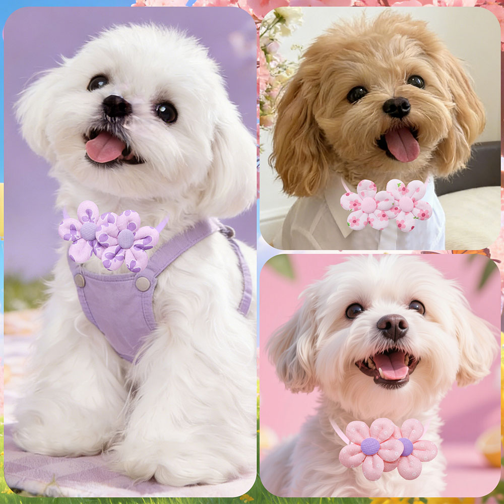 10 Uds. Lazos para perros con  - Pet Supplies Hours reseña y precio