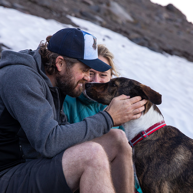Collar Reflectante Ruffwear pa - Pet Supplies For Less reseña y precio