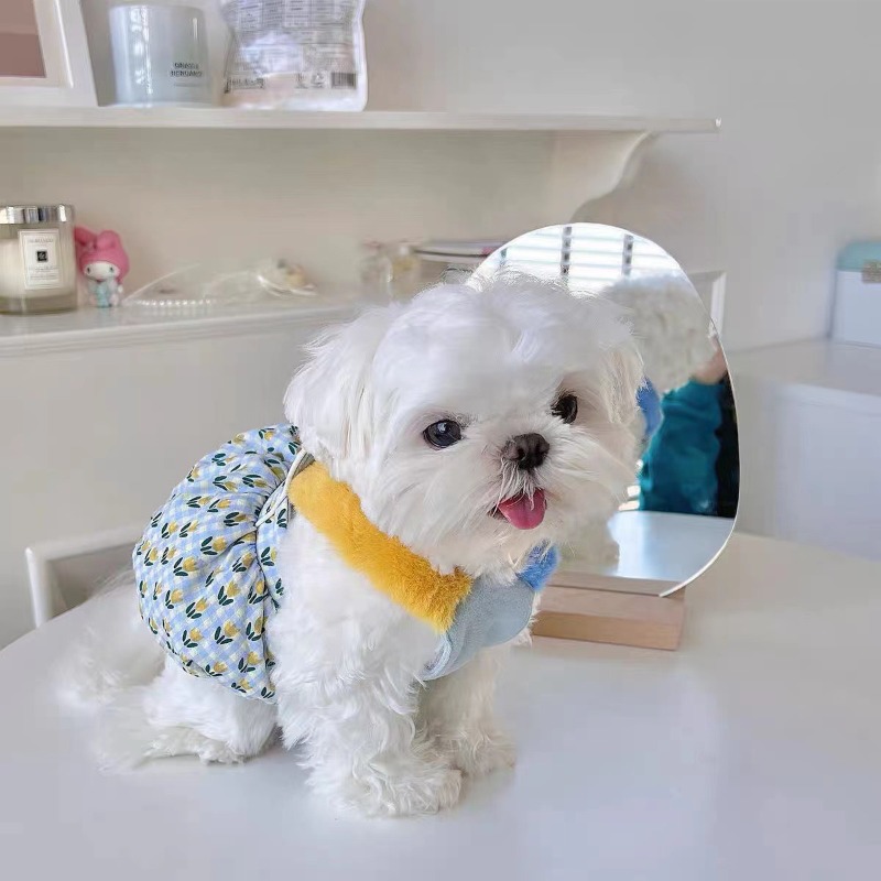 Ropa creativa de otoño e invie - Pet Supplies For Less reseña y precio