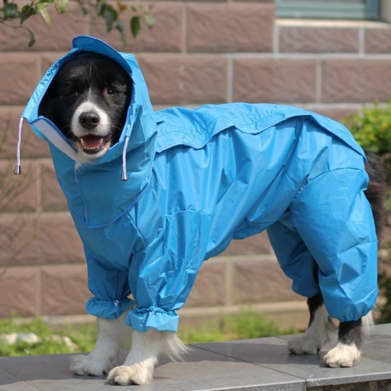 Chubasquero para perros al air - Dog Raincoat reseña y precio
