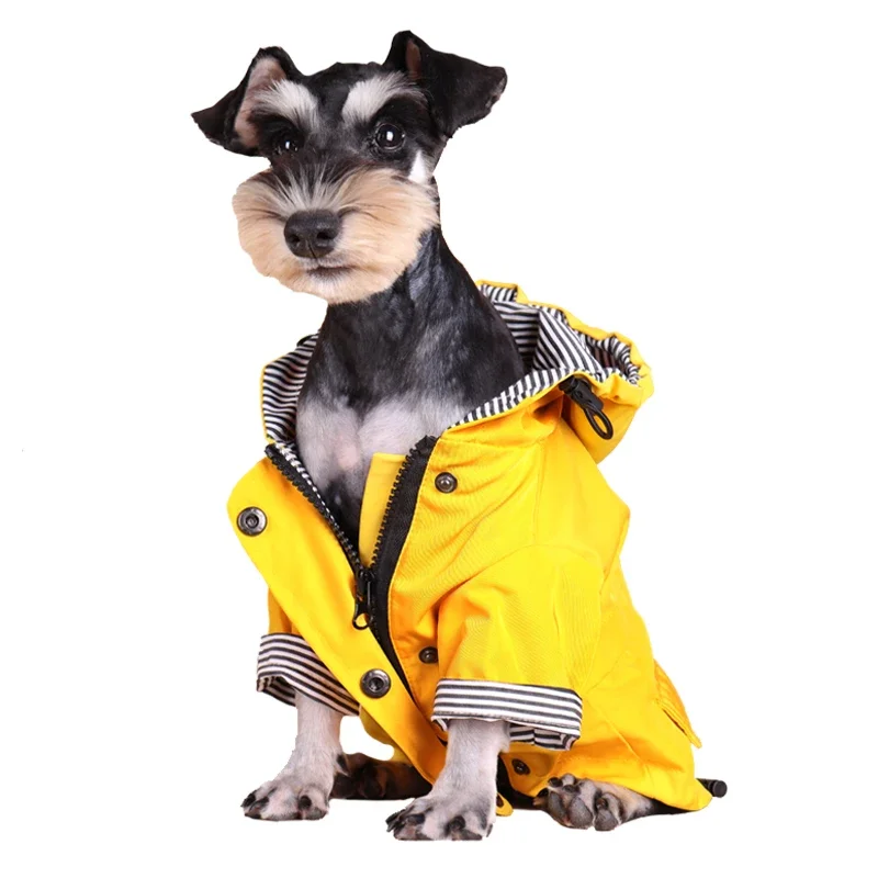 Ropa impermeable para perros g - Dog Raincoat reseña y precio
