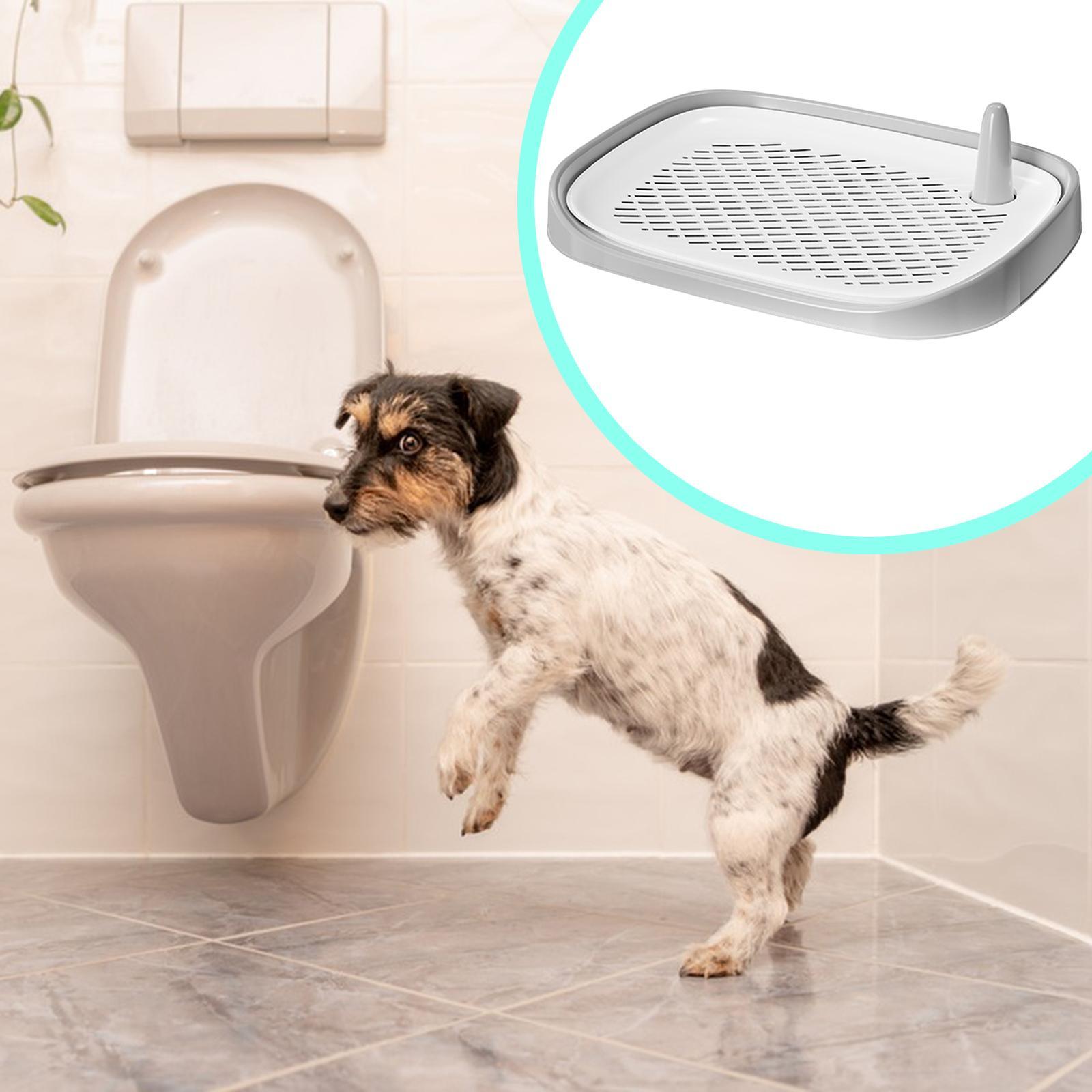 Caja de arena para perros, sum - Pet Supplies For Less reseña y precio