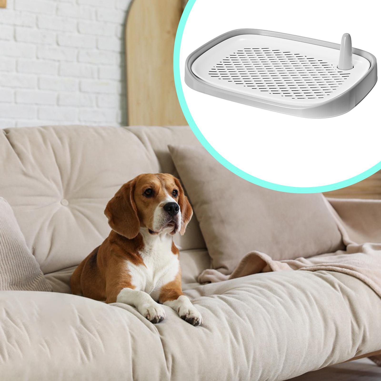 Caja de arena para perros, sum - Pet Supplies For Less reseña y precio