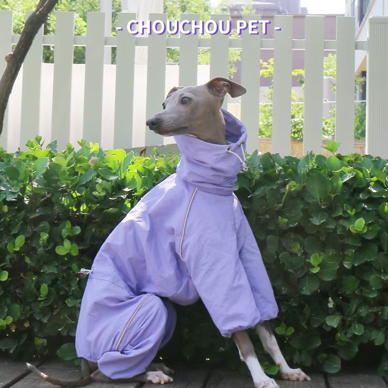 Chubasquero de galgo italiano, - Dog Raincoat reseña y precio