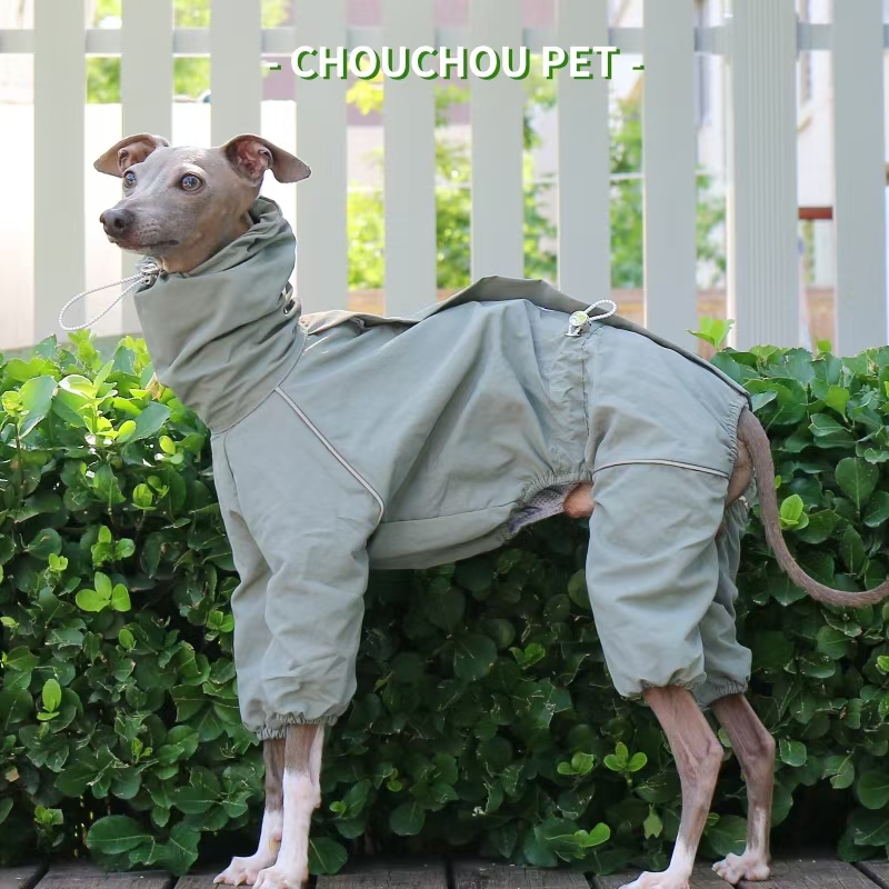 Chubasquero de galgo italiano, - Dog Raincoat reseña y precio