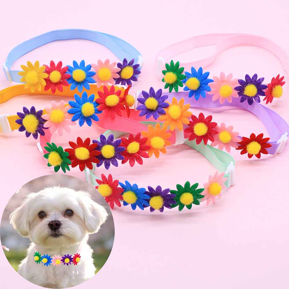 50 Lazos Coloridos para Perros - Pet Supplies Hours reseña y precio