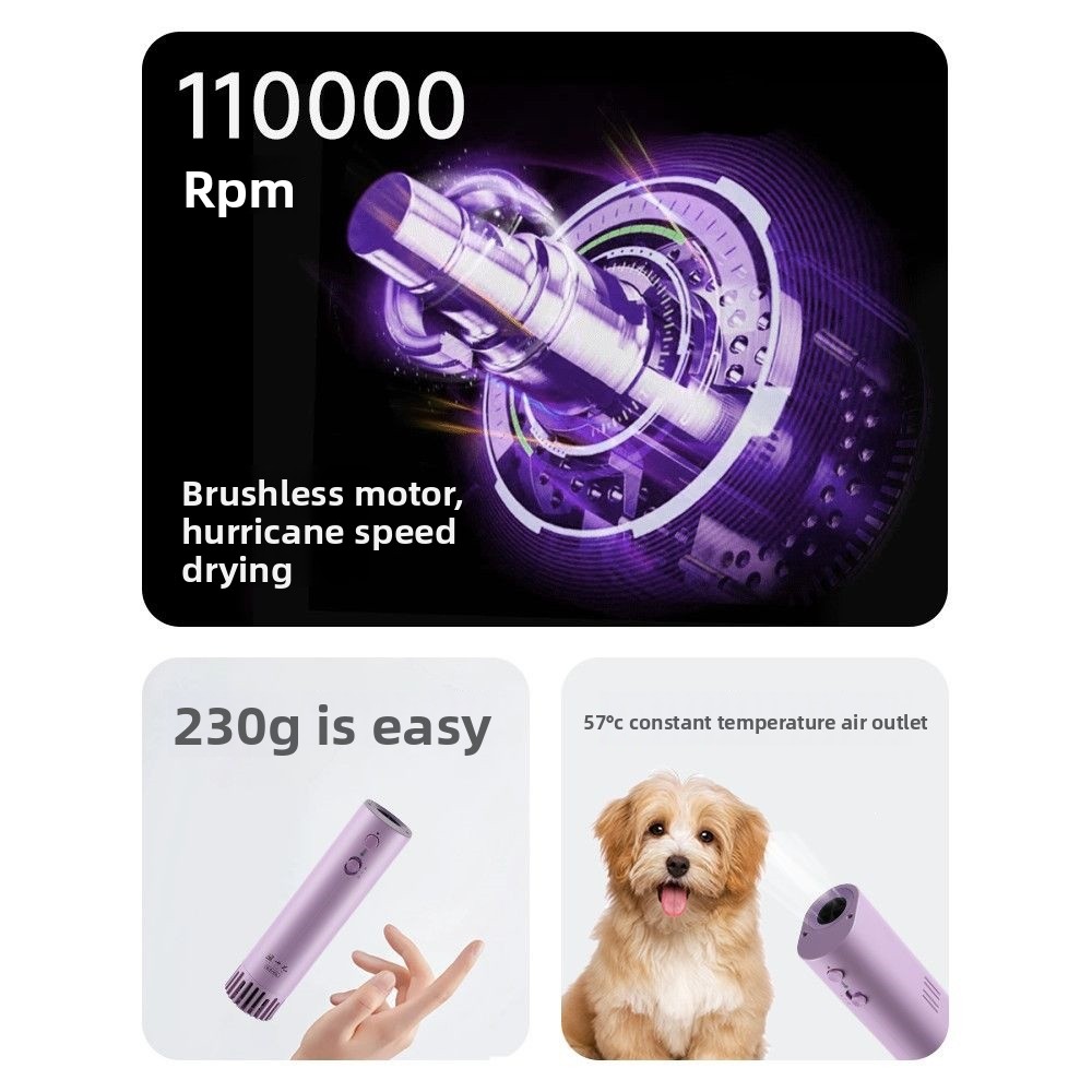 Secador de pelo con clip para  - Pet Supplies For Less reseña y precio