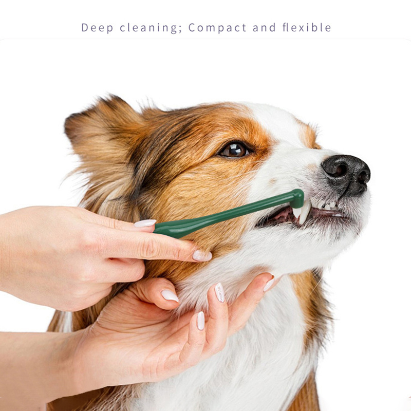 Micro cabezal para perro y gat - Pet Supplies Hours reseña y precio
