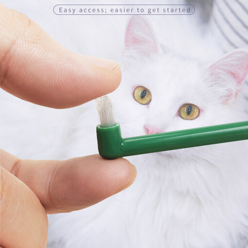 Micro cabezal para perro y gat - Pet Supplies Hours reseña y precio