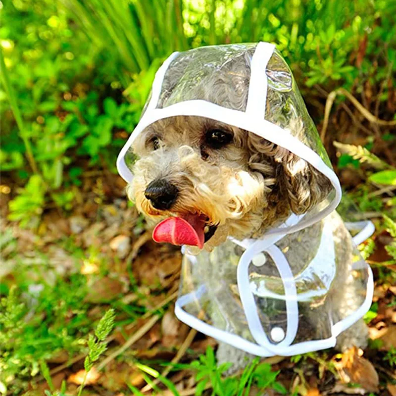 Chubasquero para perros, ropa  - Dog Raincoat reseña y precio