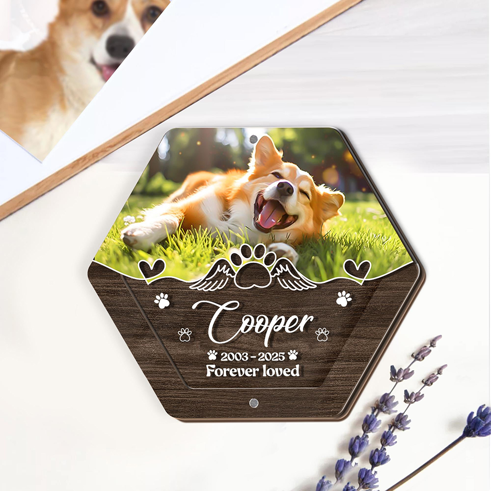 Caja de almacenamiento de pelo - Pet Supplies Warehouse reseña y precio