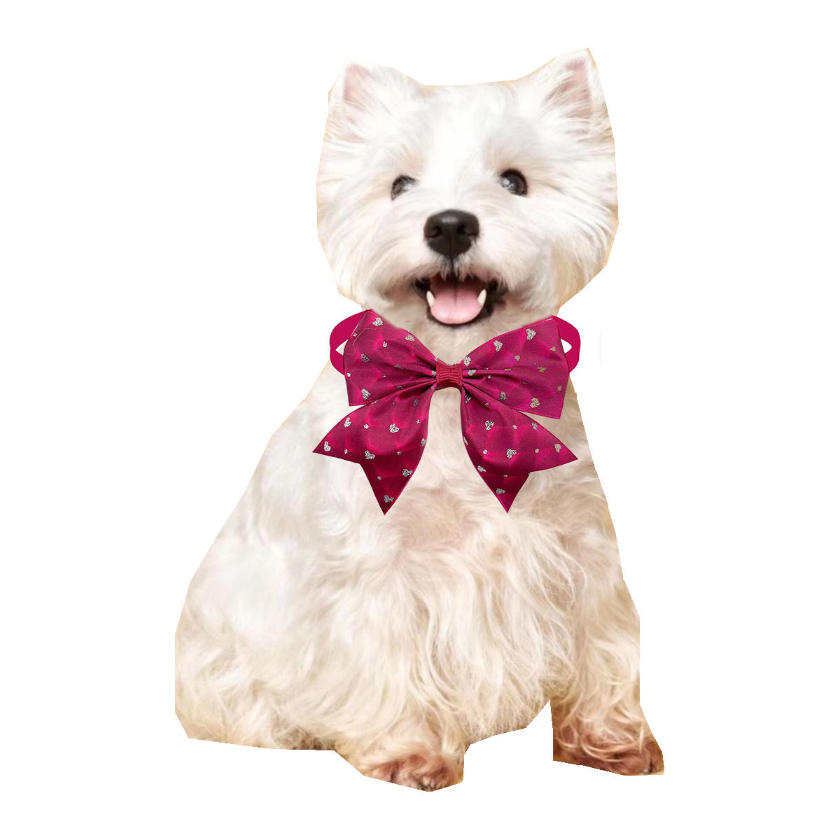 Pajarita de estilo romántico p - Pet Supplies Hours reseña y precio