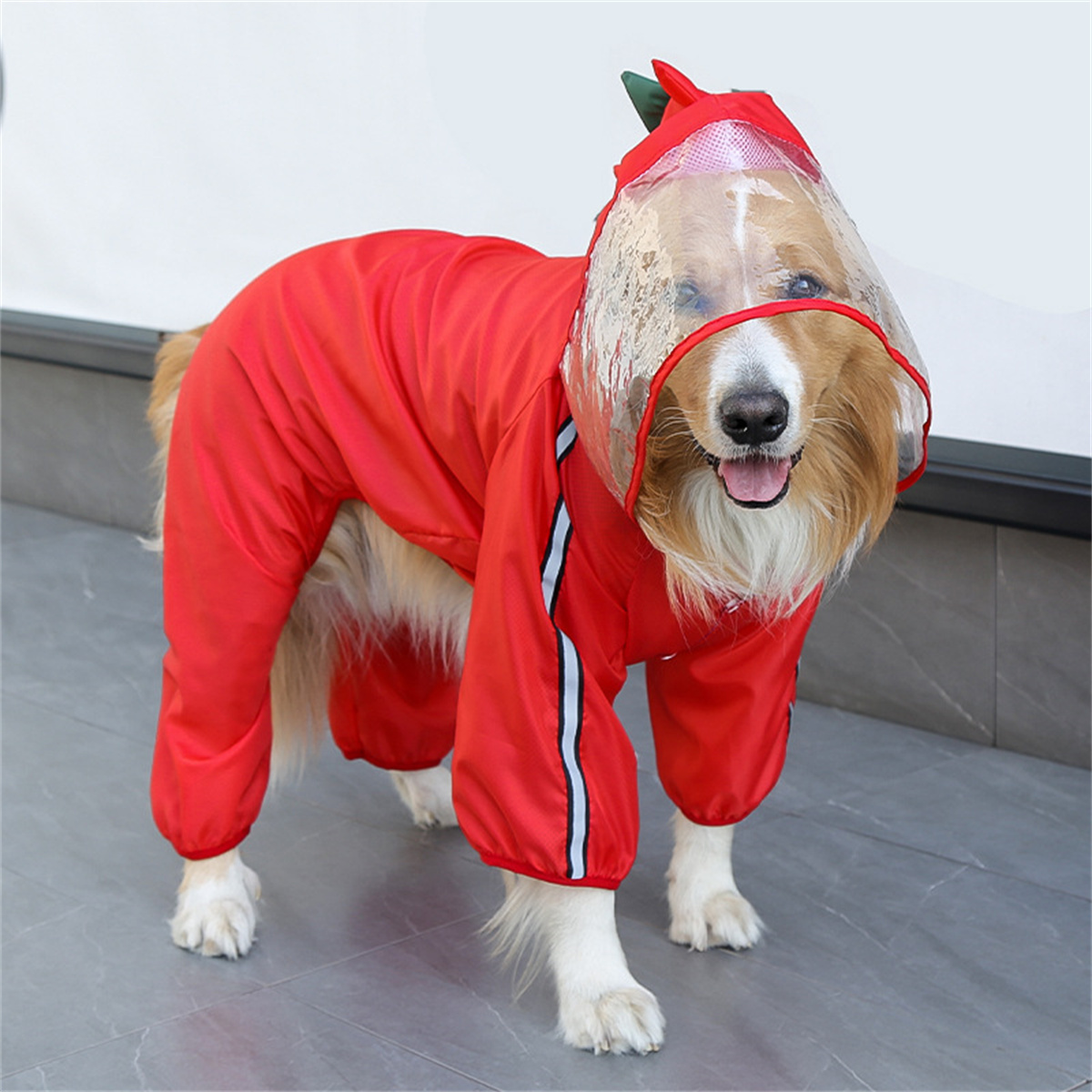 Chubasquero impermeable para p - Dog Raincoat reseña y precio