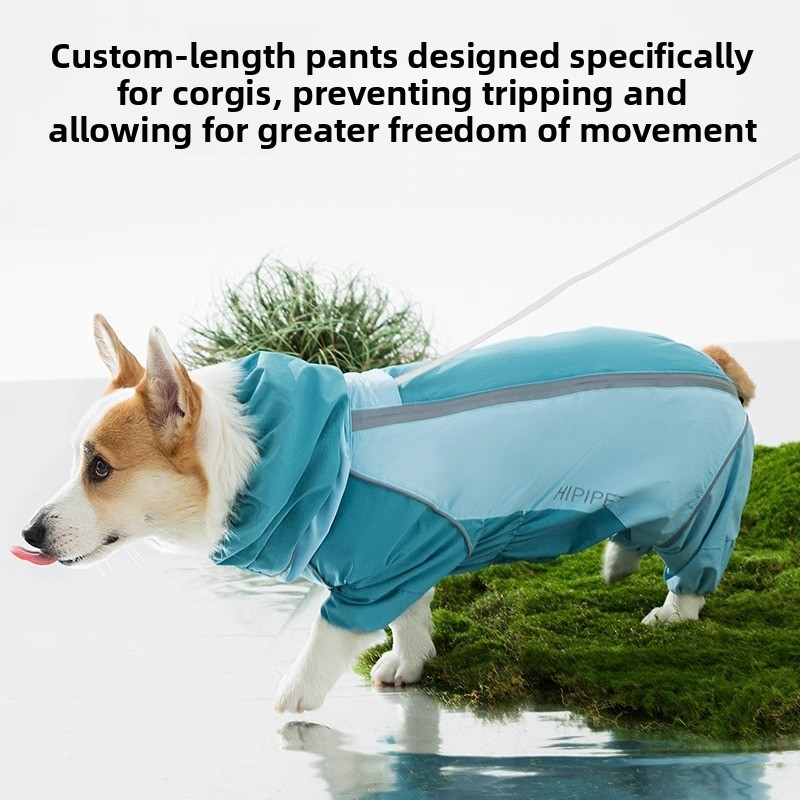 Impermeable para Perros 2026 d - Dog Raincoat reseña y precio