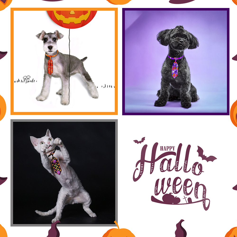 50/100 Uds. Accesorios de cuid - Pet Supplies Hours reseña y precio