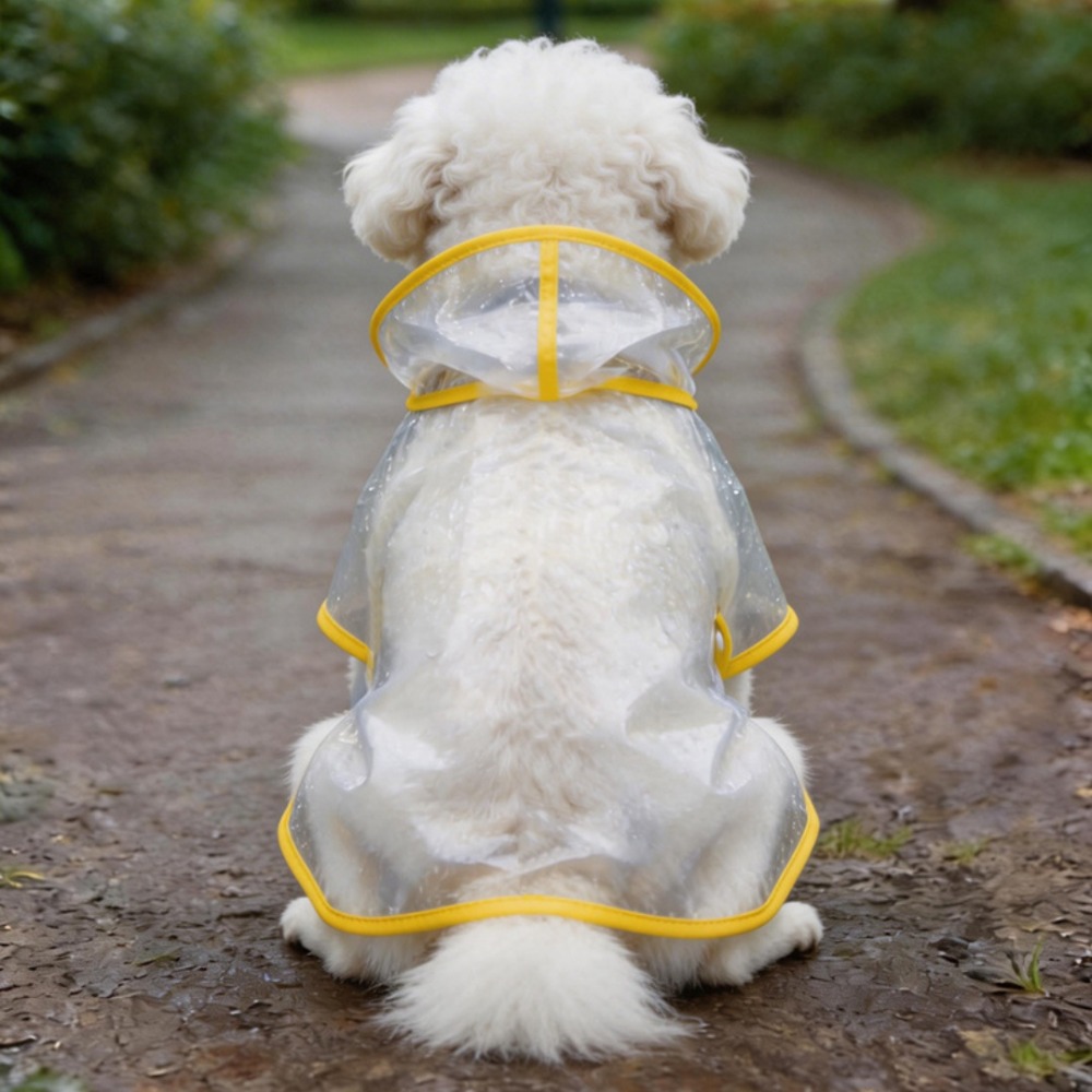 Impermeable para Perros, Trans - Dog Raincoat reseña y precio