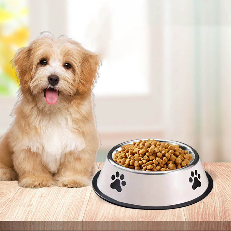 Tazón de Acero Inoxidable para - Pet Supplies Hours reseña y precio