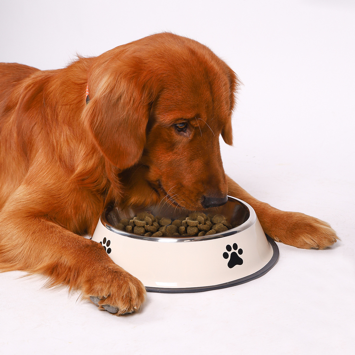 Tazón de Acero Inoxidable para - Pet Supplies Hours reseña y precio