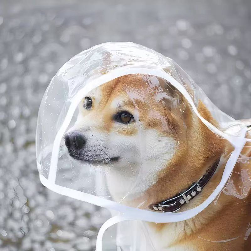 Impermeable para Mascotas XS-8 - Dog Raincoat reseña y precio