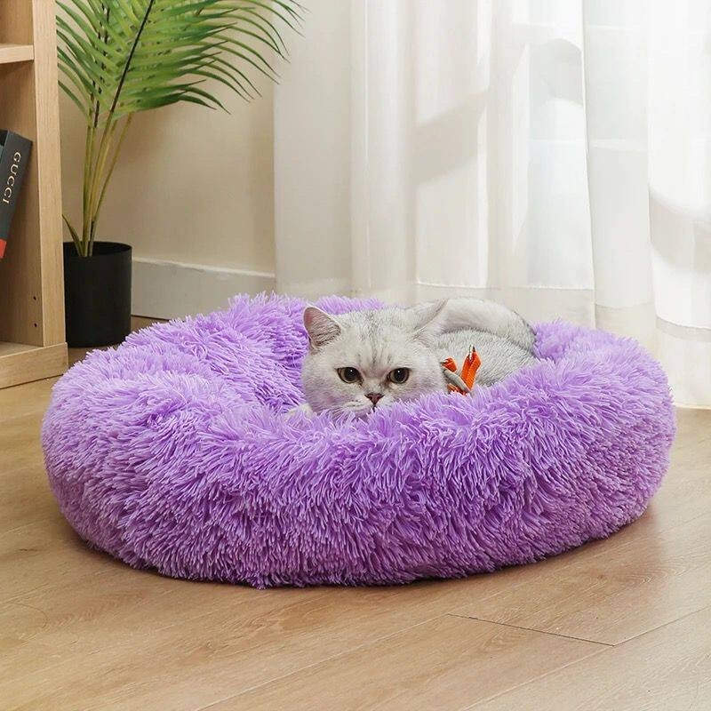 Cama para Perro de Algodón par - Pet Supplies Australia reseña y precio