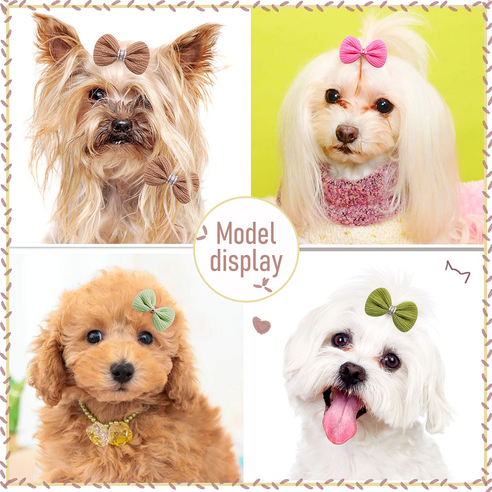 Horquilla con lazo para perro  - Pet Supplies Hours reseña y precio